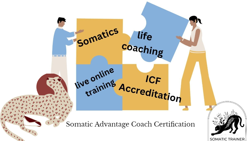 Somatics for Coaches What's the Fuss ONLINE Workshop