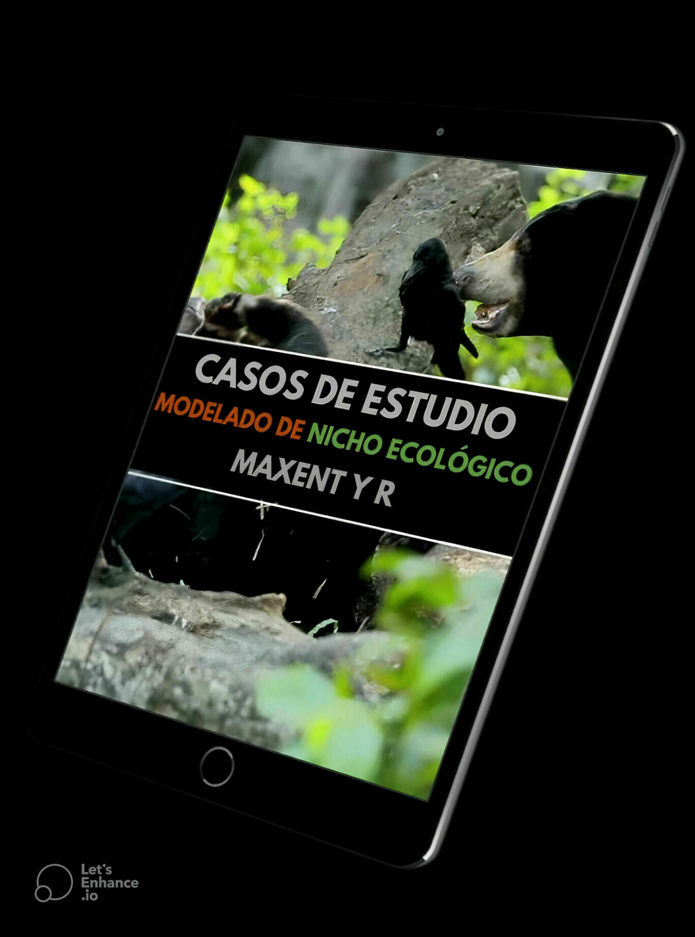 Mockup de Casos de Estudio de Modelado de Nicho Ecológico