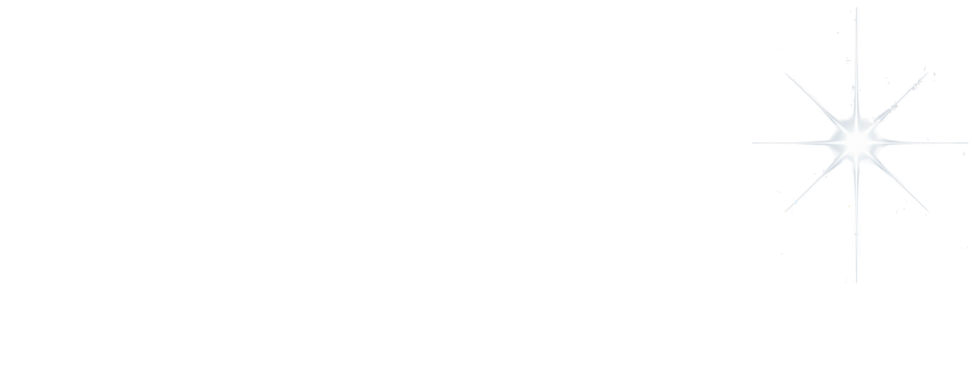 text reads: "Professional North Star"  graphic of a very large and bright star shining against a starry background